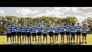 St Joseph's Nudgee College 1st XV Rugby 2017 GPS Premiers