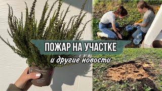 Возгорание торфа на участке. Работа на земле. Посадка вереска. Дом из бытовки. Дачный дом