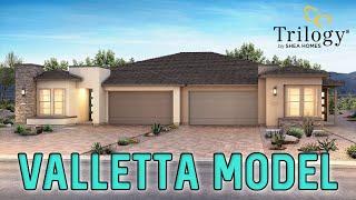 Trilogy at Sunstone Shea Homes | Modern Single Story Homes For Sale | Valletta Model | $394k+