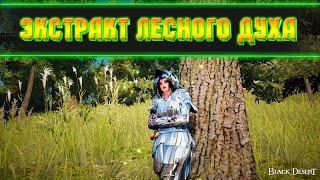 БДО Готовим Экстракт Лесного Духа ● Black Desert Online