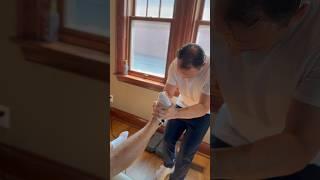 Ankle and toe adjustments make popping noises  #chiropractic #asmr #shorts