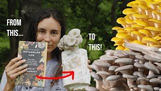 How-To Grow Mushrooms on Books | 30 DAY EXPERIMENT! Mycoremediation Project