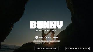 Afrobeat Instrumental 2024 " BUNNY " ( Mr. P x Winning x Afro pop Type Beat #Pheenrex)