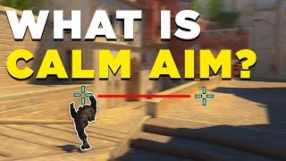 How to Master Calm Aim in CS2