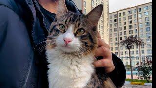 Cute Street Cat hugging :me tightly doesn't wantme to leave her.