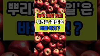 농약 제일 많이 뿌리는 '과일'은 바로 이것 #건강 #꿀팁 #영양식 #면역 #이슈 #올바른정보