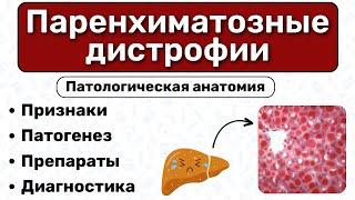 Паренхиматозная дистрофия: виды, патогенез, препараты / Патологическая анатомия