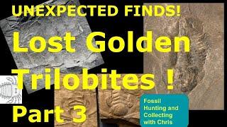 Unexpected Finds, The Lost Golden Trilobites Part 3