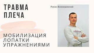 Боль в плечевом суставе. Улучшение подвижности лопатки. Мобилизация упражнениями. ЛФК.