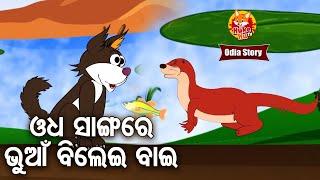 Odha Sangare Bhuana Bilei Bai ଓଧ ସାଙ୍ଗରେ ଭୁଆଁ ବିଲେଇ ବାଇ | Odia Moral Story | Huke Hu TV