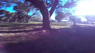 ONE TREE WONDER FPV FREESTYLE CHALLENGE - by Wild Willy FPV | I  this tree!