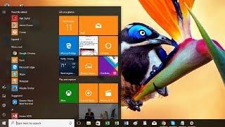 10 Best Themes for Windows 10 to Download Right Now