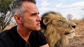 My Time is Limited with My LION FRIENDS | The Lion Whisperer