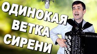 БОЖЕ, ВОТ ЭТО ГОЛОС! ПРОСТО ДУШУ РВЕТ! ("Одинокая ветка сирени" под баян)