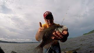 How To Locate Crappie In The Summer Fishing From The Bank