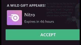 Everyone's first month of Discord Nitro!