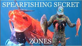 SPEARFISHING BACKYARD SECRET ZONES! | Spearfishing Maui |