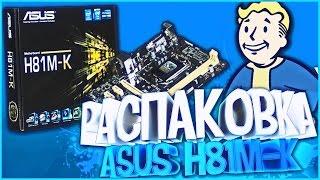 Распаковка материнской платы Asus H81M-K (s1150, Intel H81, PCI-Ex16)