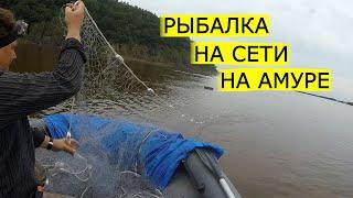 Рыбалка на Амуре. Рыбалка сетями с блогерами. Часть 2