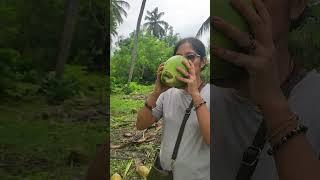 Energy Booster(Coconut Water) #shorts #ytshorts #coconutwater #shashanka #india #northeast