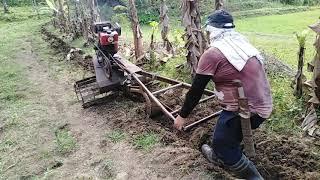 First time mag araro hindi pa marunong hehehe.