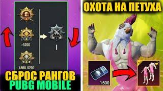 СБРОС РАНГОВ PUBG MOBILE! ВЫБИВАЮ САМЫЙ РЕДКИЙ ОЛД СКИН в ПУБГ МОБАЙЛ! РАНГОВЫЕ НАГРАДЫ S13C5 СЕЗОНА