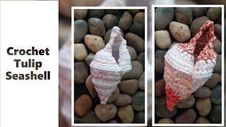 How To Crochet Seashell -  Banded Tulip seashell