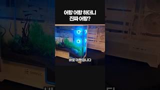 요즘 컴퓨터 케이스 근황 #컴퓨터케이스 #어항케이스