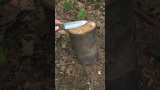 Splitting logs with a knife 🪵