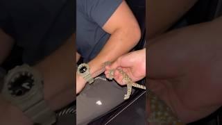 Lizard attack #tokaygecko #lizard  #outdoors #everglades #florida #reptiles #herping #nature