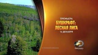 Бушкрафт: лесная лига. Сезон 1 Серия 3 / Bushcraft Build-Off