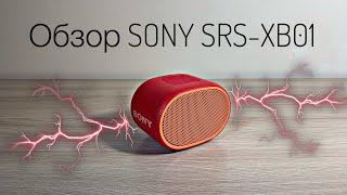 Обзор портативной колонки Sony SRS-XB01/Review of portable speaker Sony SRS-XB01