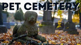 Pet Cemetery In Essex Hidden Within A Nature Reserve