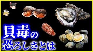 【ゆっくり解説】記憶喪失する貝毒…⁉️「貝毒」の恐ろしさとは？を解説/貝毒の種類、猛毒を持つ貝、最新の貝毒研究…人はいつから貝を食べていた？