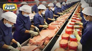 MASSIVE Canned Tuna Production in Factories That You Have Not Seen Before! This is How It's Made