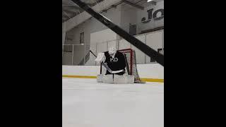 Low Angle Plays with KD Goaltending