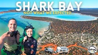 When EVERYTHING goes wrong! Shark Bay Western Australia | Francois Peron National Park 4WD [EP28]