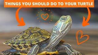 THE ULTIMATE GUIDE TO TURTLE CARE