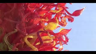 Работы Чихули из стекла на природе /  Chihuly In Nature