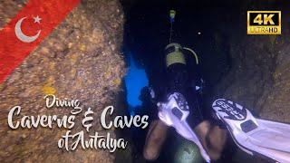 We found a Monk Seal while diving a cavern system in Antalya. Diving Turkey 2024 in 4K | DiveScapeTV