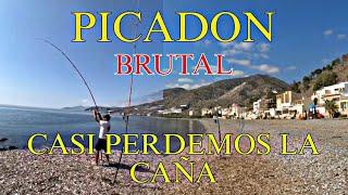 PICADON BESTIAL... NO PODIA SACAR LA CAÑA DEL PINCHO... SURFCASTING FAMILY 