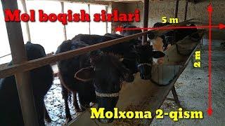 Molxona qurish va mol boqish sirlari haqida