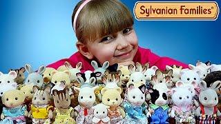 Мои 12 СЕМЕЙ Sylvanian Families: Специальный выпуск. Всё что Вы хотели знать о моей коллекции