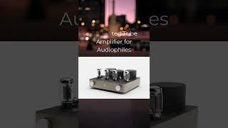 Fezz Audio Titania Hi-Fi Tube Amplifier #tubeamplifier