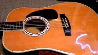 Esteban American Legacy Acoustic Guitar Review and Sound Demo in HD