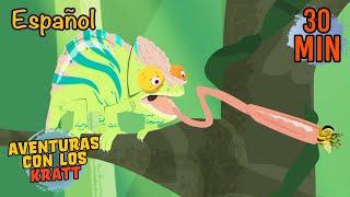 La Lengua del Camaleón | Reptiles y Más | Aventuras con los Kratt | 9 Story Kids en Español