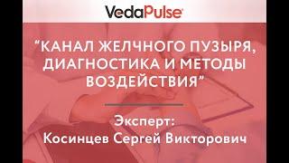 Канал Желчного пузыря, диагностика и методы воздействия