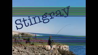 Stingray Rock Fishing
