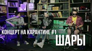 Концерт на карантине: ШАРЫ