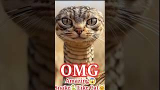 Respect|| Amazing snake-like cat #shorts #respect